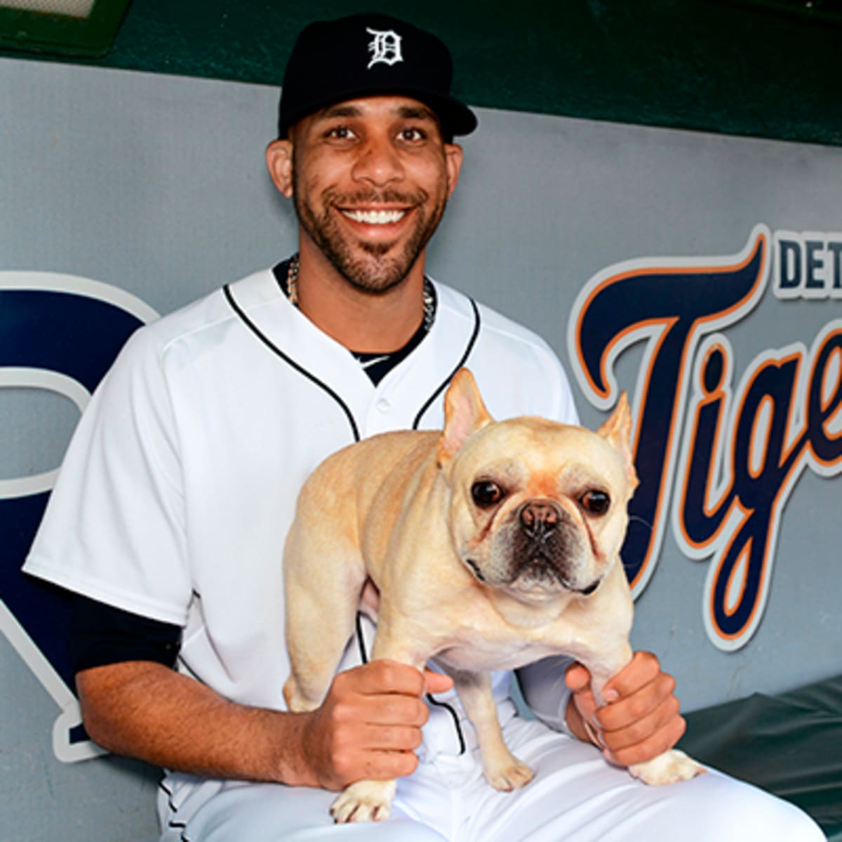 David Price's dog Astro receives assortment of gifts from Dodgers