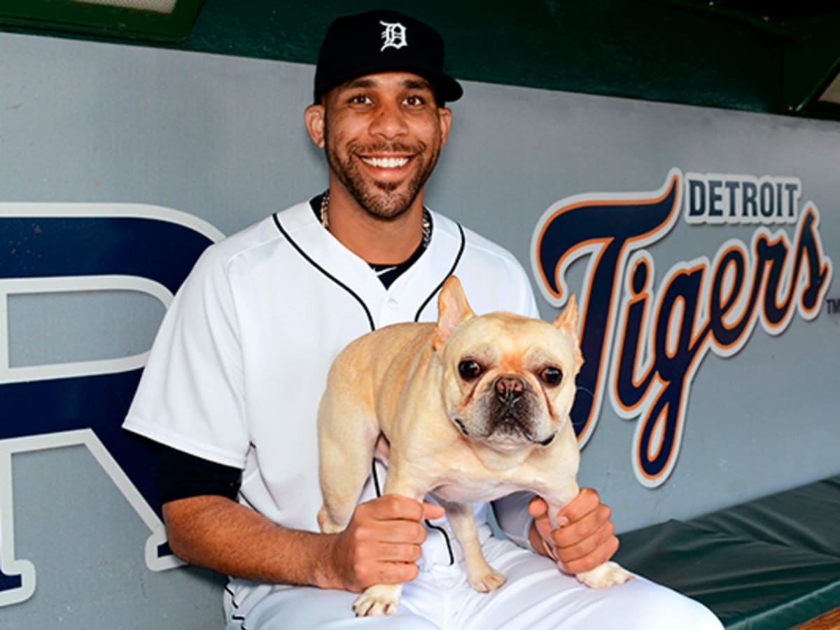 Pet Pals: David Price and Astro - SI Kids: Sports News for Kids, Kids Games  and More